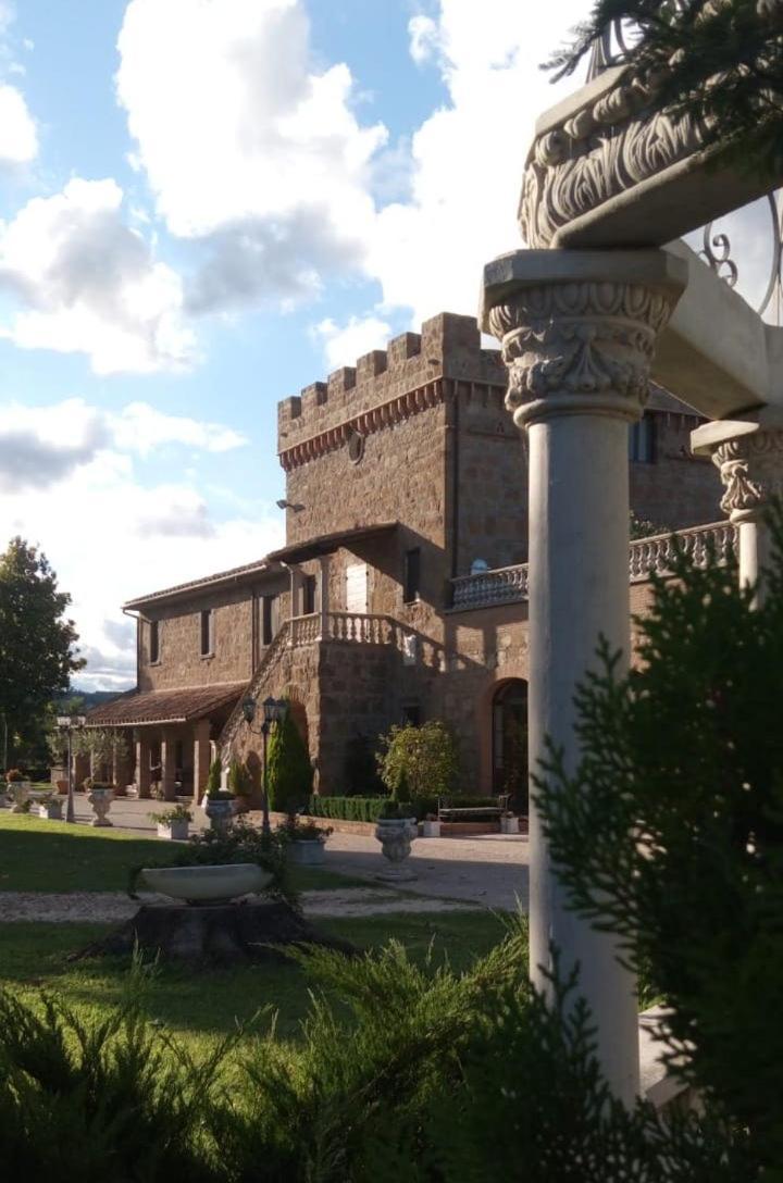 Dependance Torretta Pucci Διαμέρισμα Civitella dʼAgliano Εξωτερικό φωτογραφία